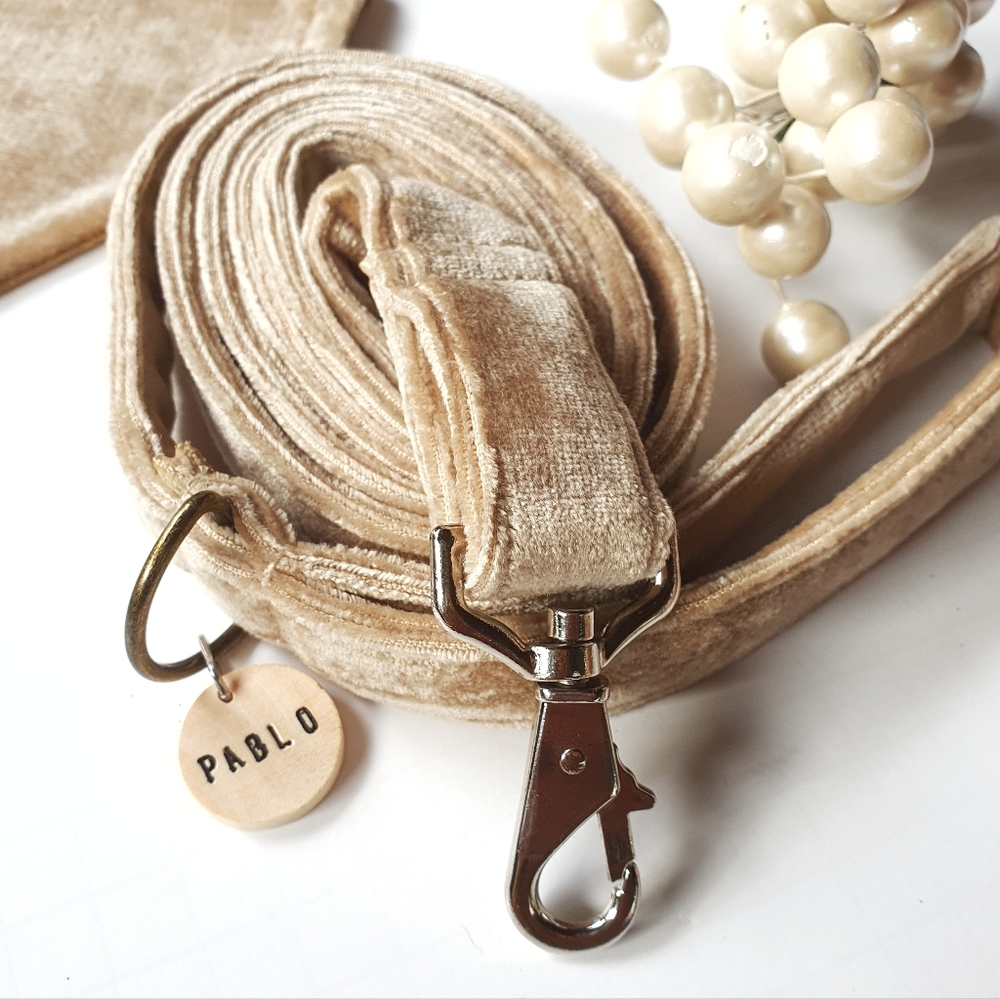 Pablo Gold Label Christmas Tan Velvet Dog Bandana & Leash Set - Picture 3 of 11